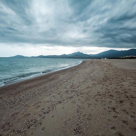 Studio Les Pieds Dans L'Eau Argeles Sur Mer Extérieur photo