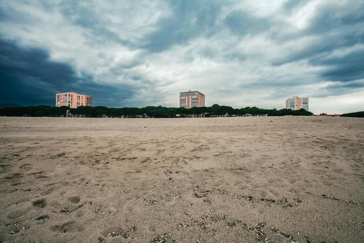 Studio Les Pieds Dans L'Eau Argeles Sur Mer Extérieur photo