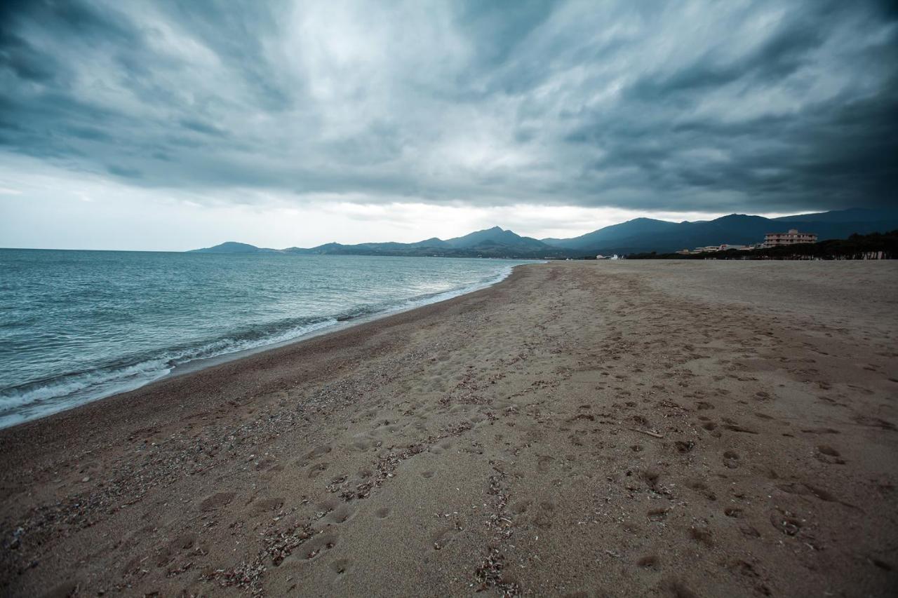 Studio Les Pieds Dans L'Eau Argeles Sur Mer Extérieur photo