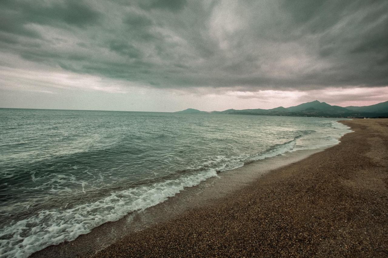 Studio Les Pieds Dans L'Eau Argeles Sur Mer Extérieur photo