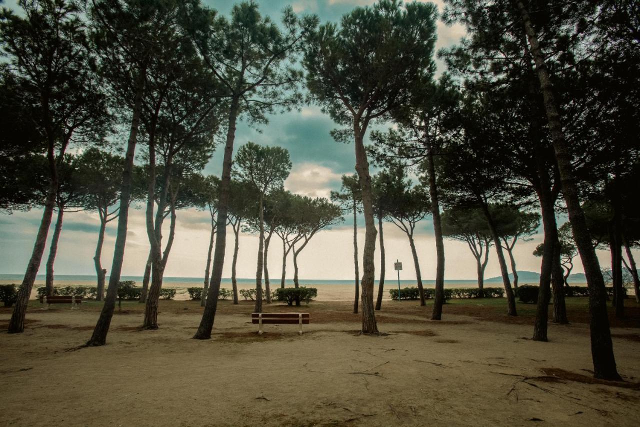 Studio Les Pieds Dans L'Eau Argeles Sur Mer Extérieur photo